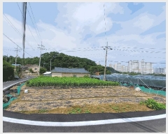  2025Ÿ��11108  �����