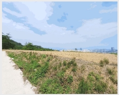  2025Ÿ��11108  �����