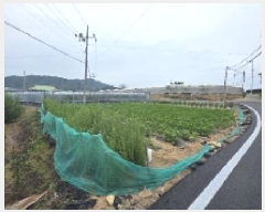  2025Ÿ��11108  �����