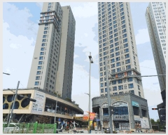  2025Ÿ��11113  ���ǽ��ڰ��