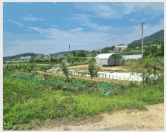  2025Ÿ��11129 ��� ���̽� �굿�� �δ��� 96      ����(��)���