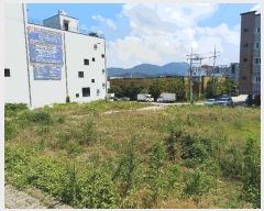  2025Ÿ��11143  �������