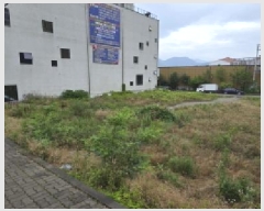  2025Ÿ��11143  �������