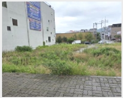  2025Ÿ��11143  �������