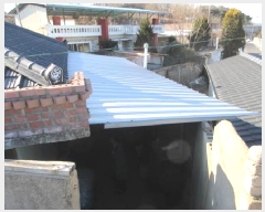  2025Ÿ��39  ���ð��