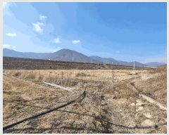  2025Ÿ��53  ����