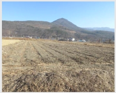  2025Ÿ��53  ����