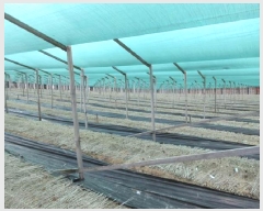  2025Ÿ��91 ��� ��õ�� ��õ�� ���� 635      ����(��1)���