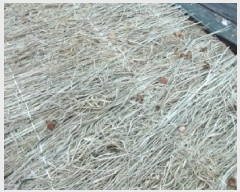  2025Ÿ��91 ��� ��õ�� ��õ�� ���� 635      ����(��1)���