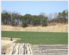  2025Ÿ��123 ��� ��õ�� ��õ�� ���� 634-3      ����(��1)���