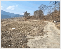  2025Ÿ��125  �����