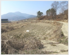  2025Ÿ��125  �����