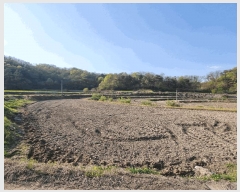  2025Ÿ��127 ��� ��õ�� ������ ���渮 774-2      ����(��)���