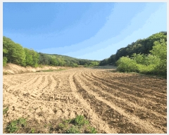  2025Ÿ��127 ��� ��õ�� ������ ���渮 774-2      ����(��)���