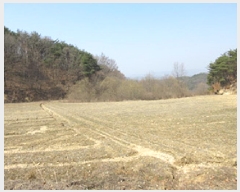  2025Ÿ��127 ��� ��õ�� ������ ���渮 774-2      ����(��)���