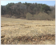  2025Ÿ��127 ��� ��õ�� ������ ���渮 774-2      ����(��)���