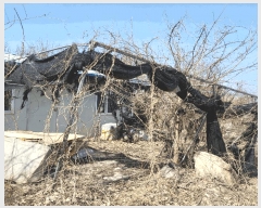  2025Ÿ��131 ��� ����� �ű⵿ 387-1       ����(��1)���