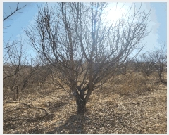  2025Ÿ��131 ��� ����� �ű⵿ 387-1       ����(��1)���