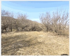  2025Ÿ��131 ��� ����� �ű⵿ 387-1       ����(��1)���