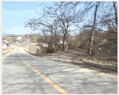  2025Ÿ��131 ��� ����� �ű⵿ 387-1       ����(��1)���