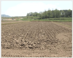  2025Ÿ��137  ����