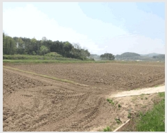  2025Ÿ��137  ����