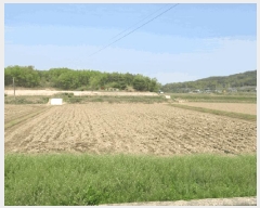  2025Ÿ��137  ����