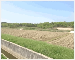  2025Ÿ��137  ����