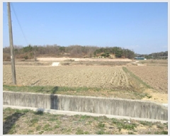  2025Ÿ��137  ����