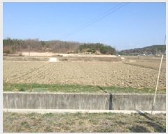  2025Ÿ��137  ����