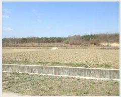  2025Ÿ��137  ����