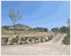  2025Ÿ��141  �����