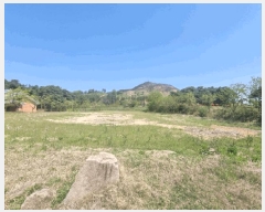  2025Ÿ��141  �����