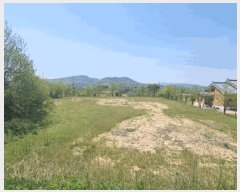  2025Ÿ��141  �����