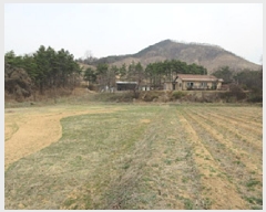  2025Ÿ��141  �����