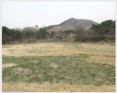  2025Ÿ��141  �����