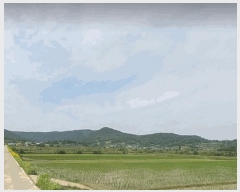  2025Ÿ��145  ����