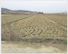  2025Ÿ��145  ����