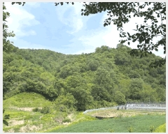  2025Ÿ��165  �Ӿ߰��