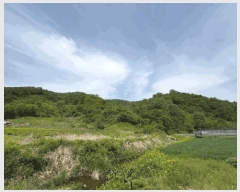  2025Ÿ��165  �Ӿ߰��