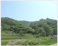  2025Ÿ��165  �Ӿ߰��