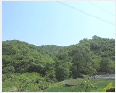  2025Ÿ��165  �Ӿ߰��