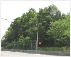  2025Ÿ��175 ��� ��õ�� ��õ�� ������ 303      ����(�Ӿ�)���