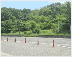  2025Ÿ��175 ��� ��õ�� ��õ�� ������ 303      ����(�Ӿ�)���