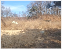  2025Ÿ��5034 ��� ��õ�� ��õ�� ���� 445      ����(��1)���