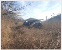  2025Ÿ��5034 ��� ��õ�� ��õ�� ���� 445      ����(��1)���