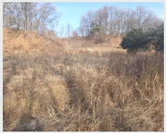  2025Ÿ��5034 ��� ��õ�� ��õ�� ���� 445      ����(��1)���