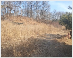  2025Ÿ��5034 ��� ��õ�� ��õ�� ���� 445      ����(��1)���