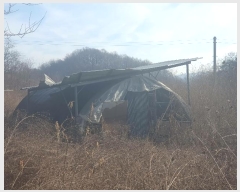  2025Ÿ��5034 ��� ��õ�� ��õ�� ���� 445      ����(��1)���