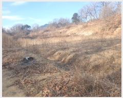  2025Ÿ��5034 ��� ��õ�� ��õ�� ���� 445      ����(��1)���